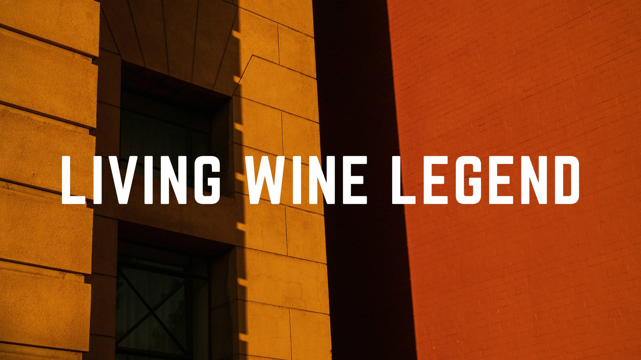 Living Wine Legend Pam Dunsford The Wine Front