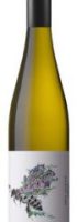 Shy Susan Riesling 2025 shy-susan-riesling-2025