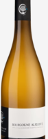 Aline Beaune Aligote 2024 aline